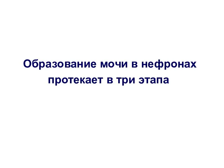 Образование мочи в нефронах протекает в три этапа