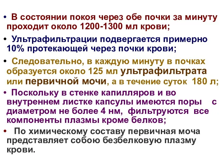 В состоянии покоя через обе почки за минуту проходит около 1200-1300