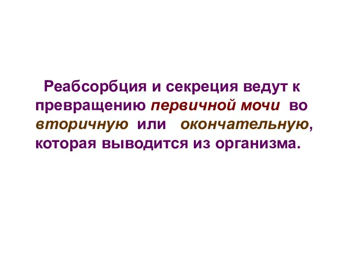 Реабсорбция и секреция ведут к превращению первичной мочи во вторичную или окончательную, которая выводится из организма.