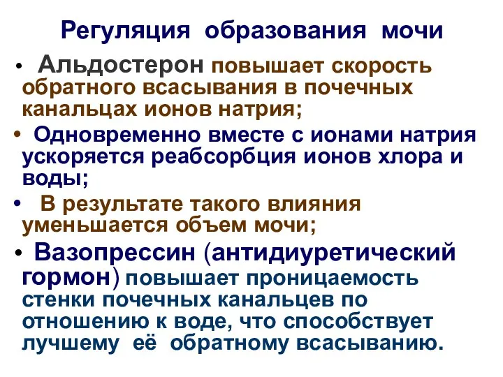 Регуляция образования мочи Альдостерон повышает скорость обратного всасывания в почечных канальцах