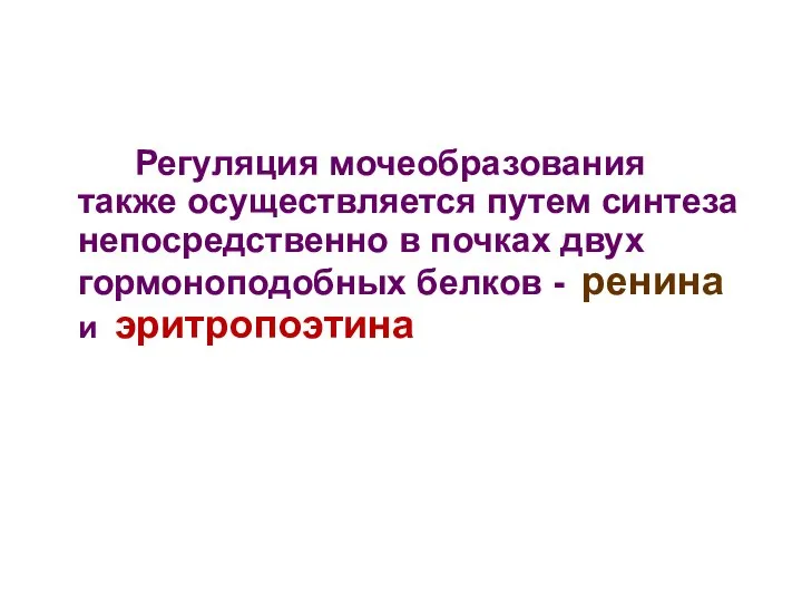 Регуляция мочеобразования также осуществляется путем синтеза непосредственно в почках двух гормоноподобных белков - ренина и эритропоэтина