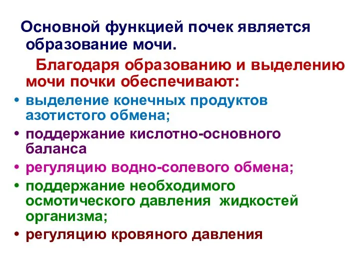 Основной функцией почек является образование мочи. Благодаря образованию и выделению мочи