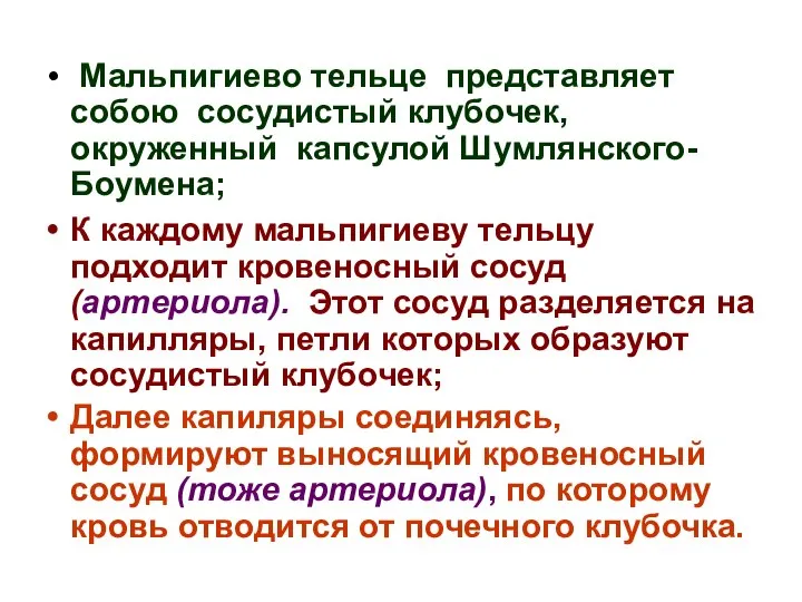 Мальпигиево тельце представляет собою сосудистый клубочек, окруженный капсулой Шумлянского-Боумена; К каждому