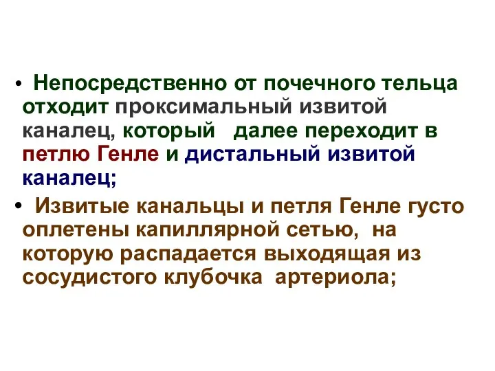 Непосредственно от почечного тельца отходит проксимальный извитой каналец, который далее переходит