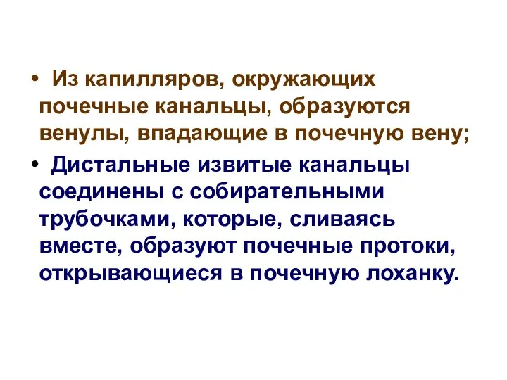 Из капилляров, окружающих почечные канальцы, образуются венулы, впадающие в почечную вену;