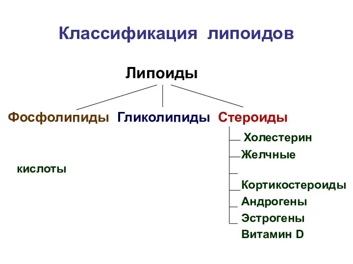 Классификация липоидов Липоиды Фосфолипиды Гликолипиды Стероиды Холестерин Желчные кислоты Кортикостероиды Андрогены Эстрогены Витамин D