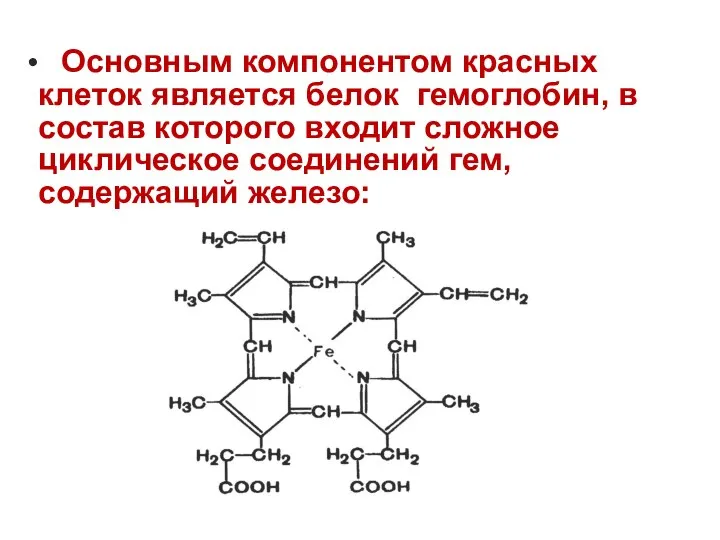 Основным компонентом красных клеток является белок гемоглобин, в состав которого входит