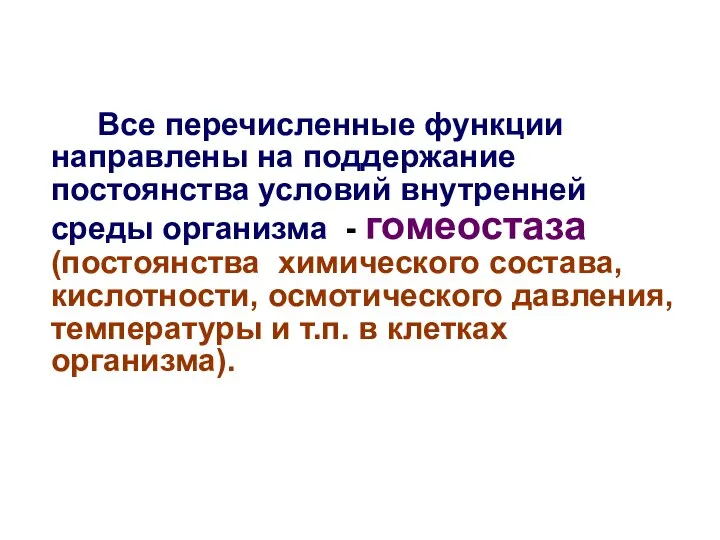 Все перечисленные функции направлены на поддержание постоянства условий внутренней среды организма