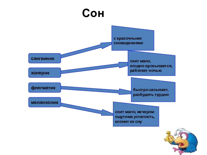 Сон сангвиник холерик флегматик меланхолик с красочными сновидениями спит мало, поздно