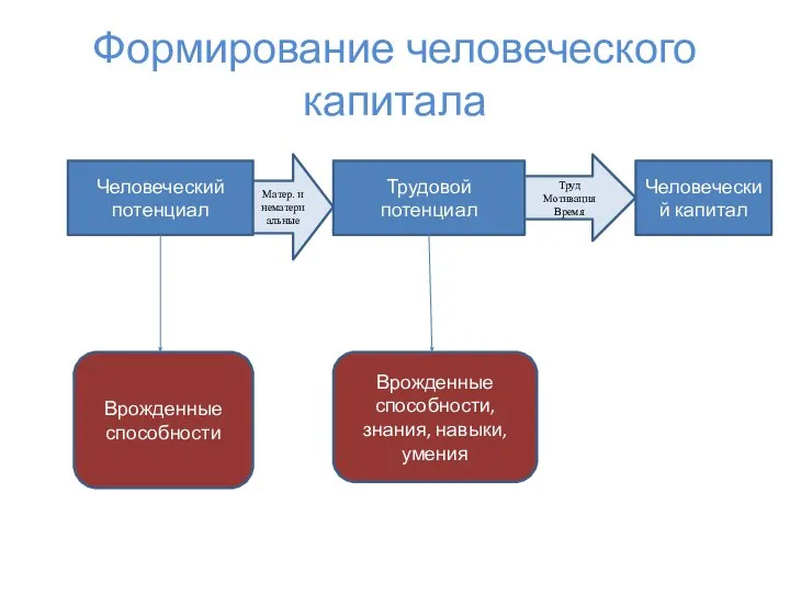 Формирование человеческого капитала Человеческий потенциал Трудовой потенциал Человеческий капитал Врожденные способности