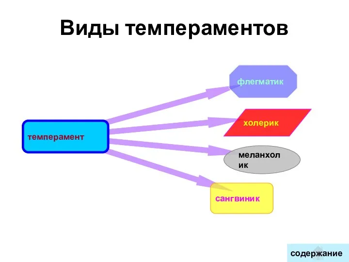 Виды темпераментов содержание темперамент флегматик меланхолик холерик сангвиник