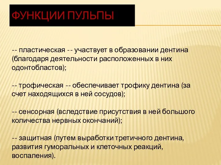 ФУНКЦИИ ПУЛЬПЫ -- пластическая -- участвует в образовании дентина (благодаря деятельности