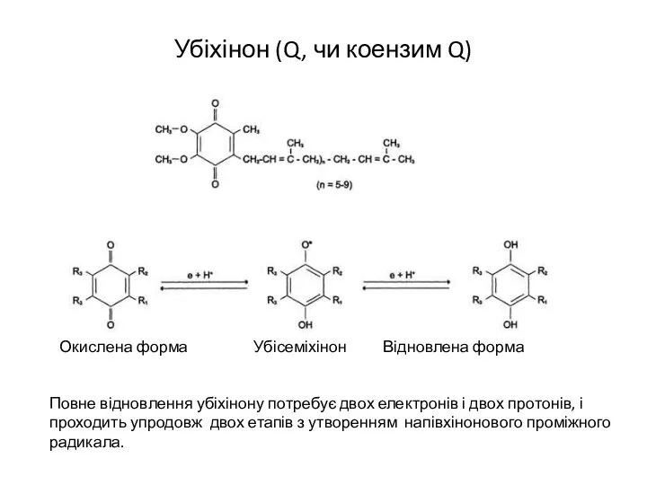 Убіхінон (Q, чи коензим Q) Повне відновлення убіхінону потребує двох електронів