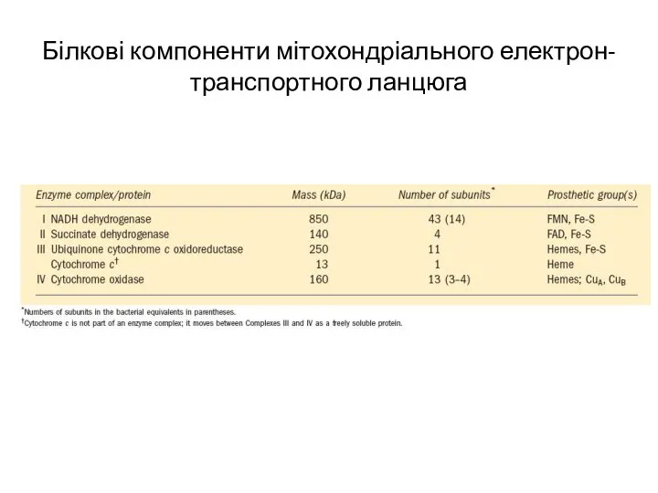 Білкові компоненти мітохондріального електрон-транспортного ланцюга