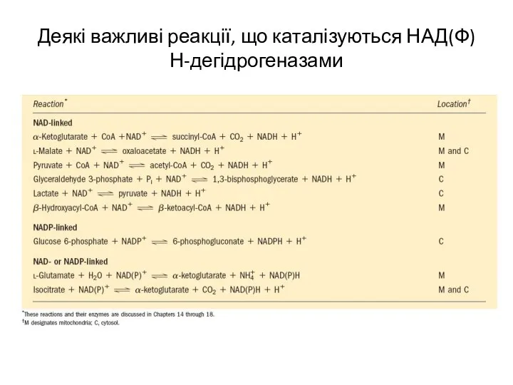 Деякі важливі реакції, що каталізуються НАД(Ф)Н-дегідрогеназами