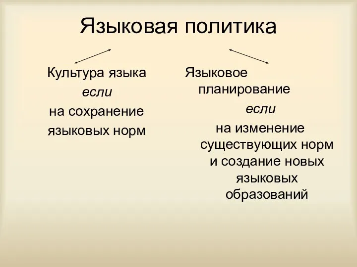 Языковая политика Культура языка если на сохранение языковых норм Языковое планирование