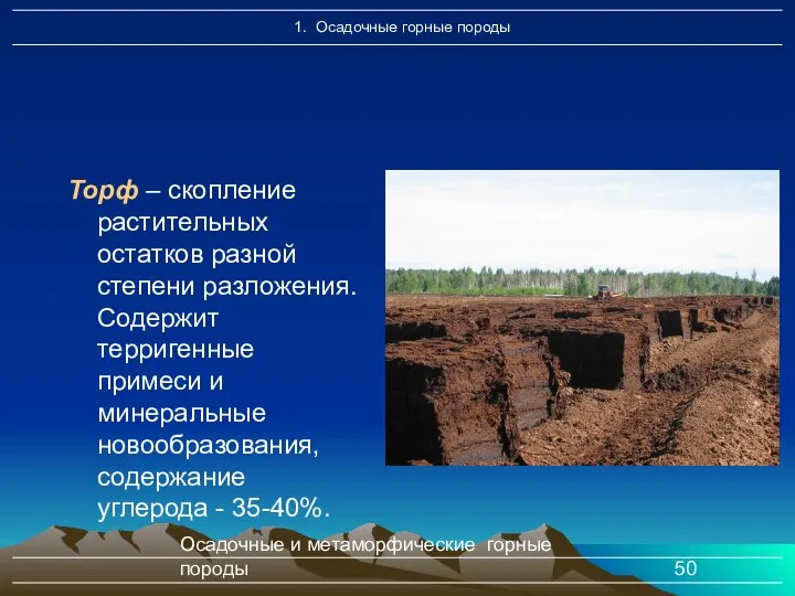 Осадочные и метаморфические горные породы Торф – скопление растительных остатков разной