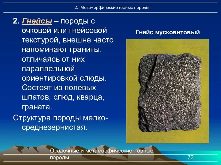 Осадочные и метаморфические горные породы Гнейс мусковитовый 2. Гнейсы – породы