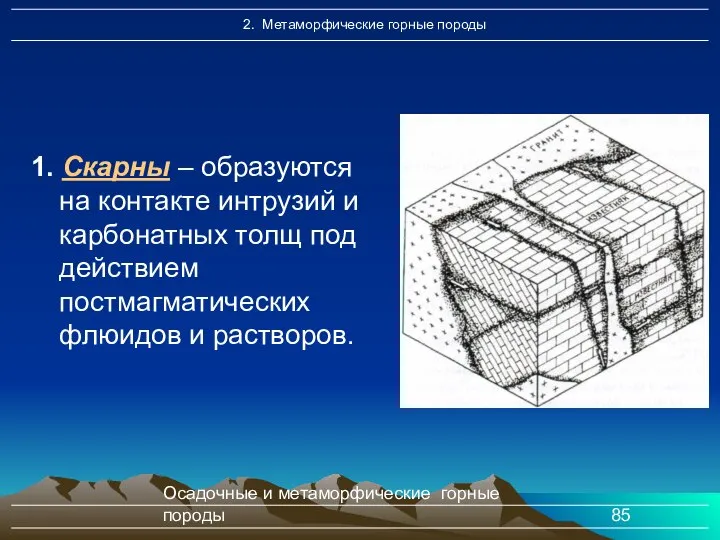 Осадочные и метаморфические горные породы 1. Скарны – образуются на контакте