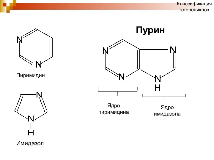 Классификация гетероциклов Ядро пиримидина Ядро имидазола Пурин Имидазол Пиримидин