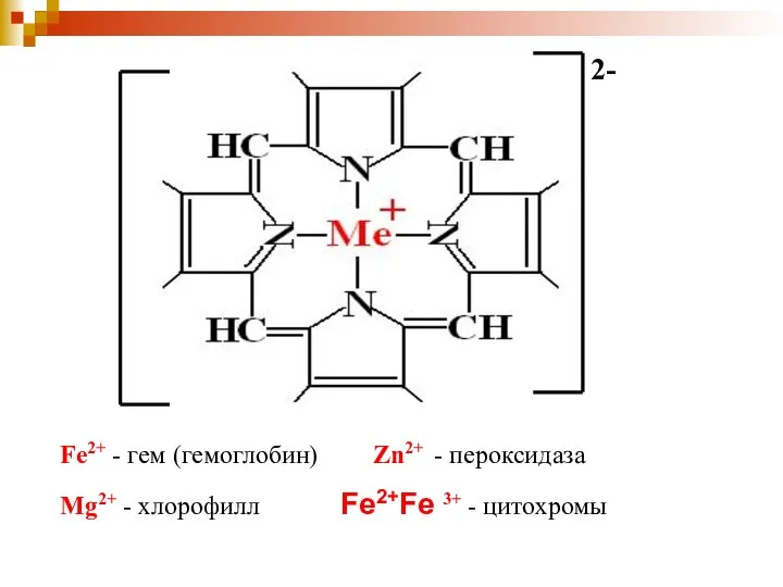 Fe2+ - гем (гемоглобин) Zn2+ - пероксидаза Mg2+ - хлорофилл Fe2+Fe 3+ - цитохромы 2-