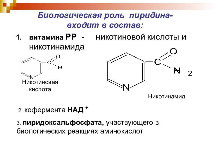 Никотиновая кислота Никотинамид Биологическая роль пиридина- входит в состав: витамина РР