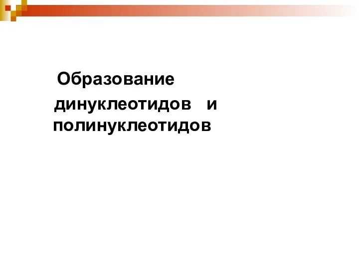 Образование динуклеотидов и полинуклеотидов