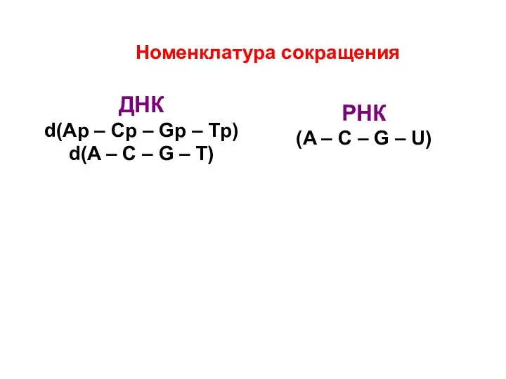 Номенклатура сокращения ДНК d(Ap – Cp – Gp – Tp) d(A