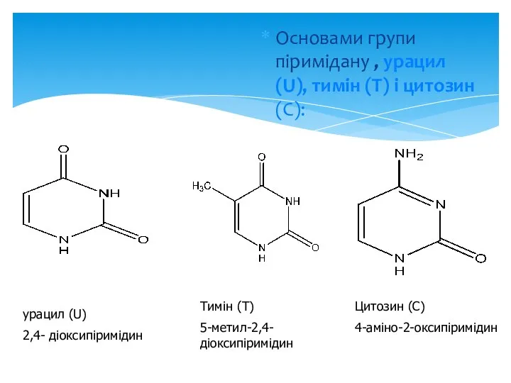 Основами групи піримідану , урацил (U), тимін (Т) і цитозин (С):