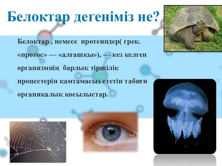 02 Белоктар дегеніміз не? Белоктар , немесе протеиндер( грек. «протос» —