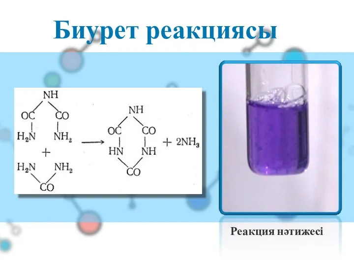 Биурет реакциясы Реакция нәтижесі