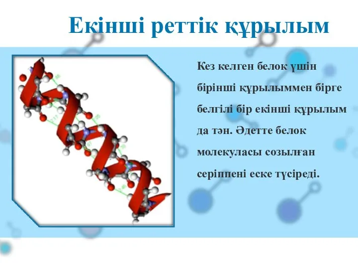 Екінші реттік құрылым Кез келген белок үшін бірінші құрылыммен бірге белгілі