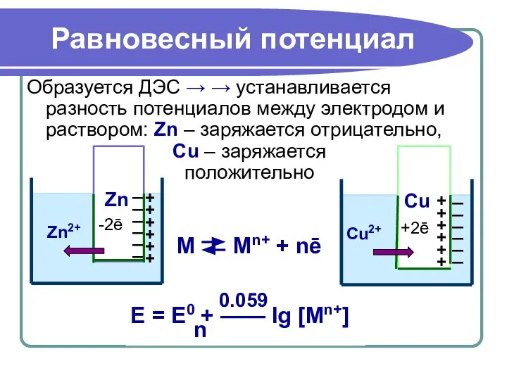 Равновесный потенциал Образуется ДЭС → → устанавливается разность потенциалов между электродом
