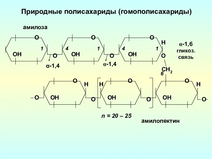 О О О О Природные полисахариды (гомополисахариды) О ОН α-1,4 О