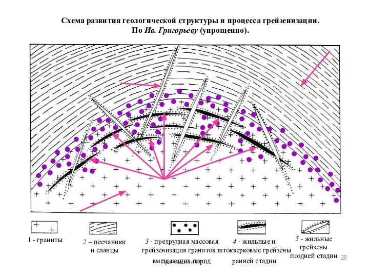 Грановская Н.В. Схема развития геологической структуры и процесса грейзенизации. По Ив. Григорьеву (упрощенно).