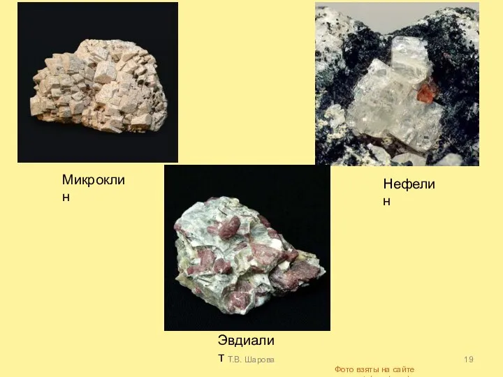 Т.В. Шарова Микроклин Нефелин Эвдиалит Фото взяты на сайте www.catalogmineralov.ru