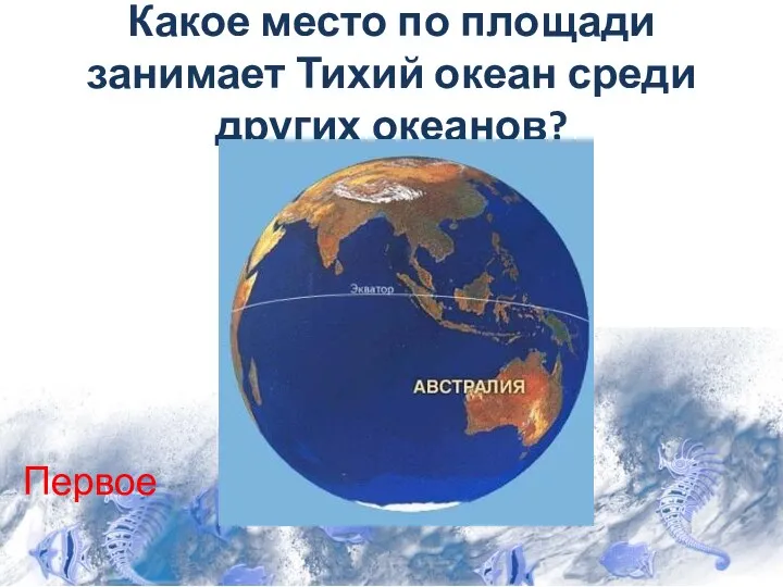 Какое место по площади занимает Тихий океан среди других океанов? Первое