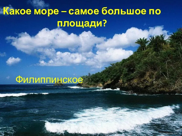 Какое море – самое большое по площади? Филиппинское