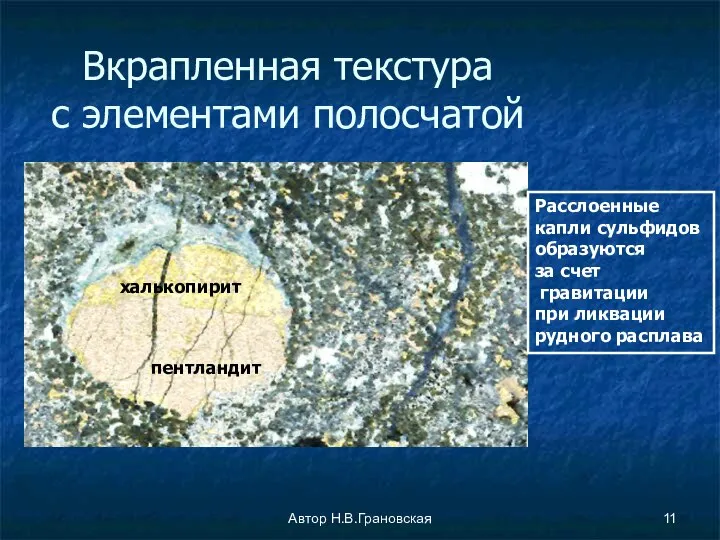 Автор Н.В.Грановская Вкрапленная текстура с элементами полосчатой Расслоенные капли сульфидов образуются