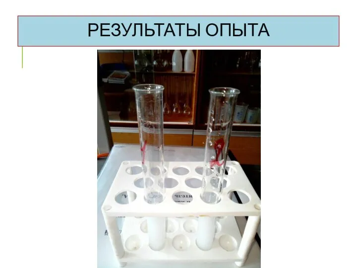 РЕЗУЛЬТАТЫ ОПЫТА