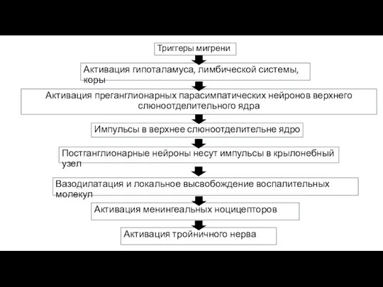 Триггеры мигрени Импульсы в верхнее слюноотделительне ядро Активация преганглионарных парасимпатических нейронов