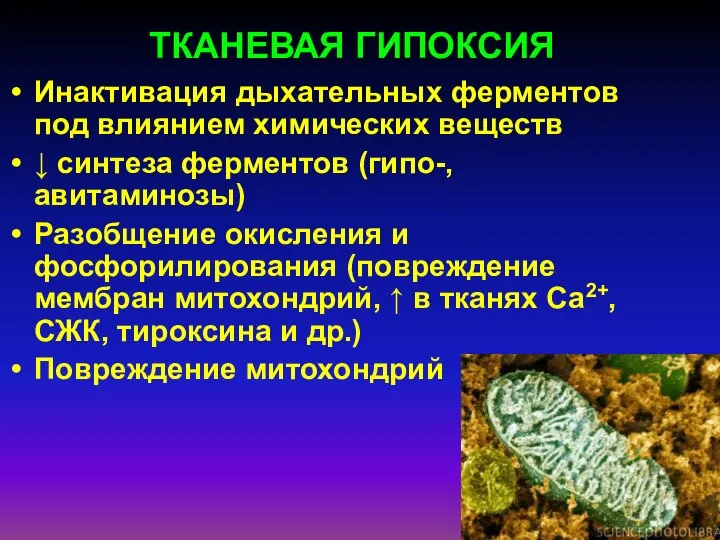 ТКАНЕВАЯ ГИПОКСИЯ Инактивация дыхательных ферментов под влиянием химических веществ ↓ синтеза