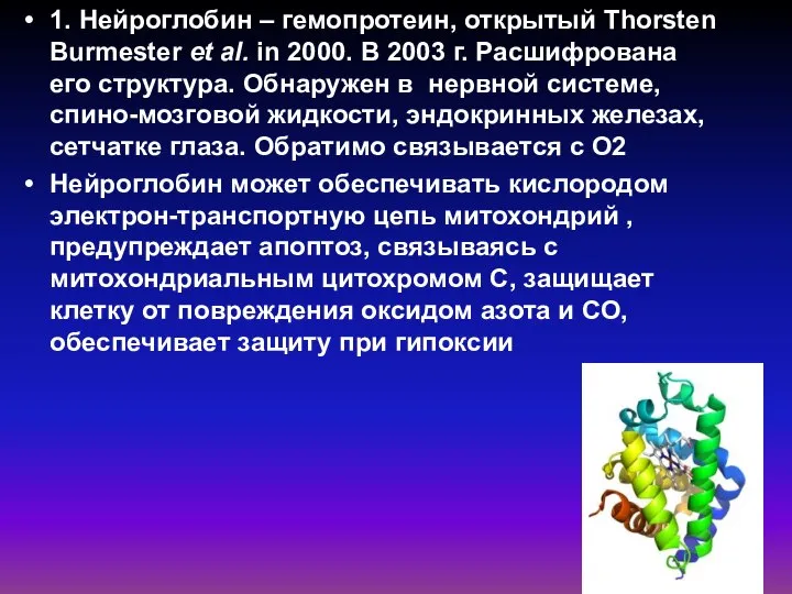 1. Нейроглобин – гемопротеин, открытый Thorsten Burmester et al. in 2000.