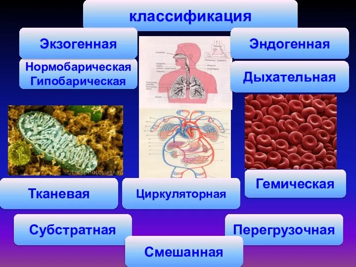 классификация Субстратная Нормобарическая Гипобарическая Дыхательная Тканевая Гемическая Перегрузочная Циркуляторная Смешанная Эндогенная Экзогенная