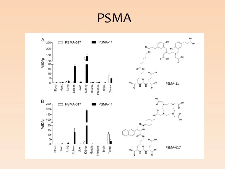 PSMA