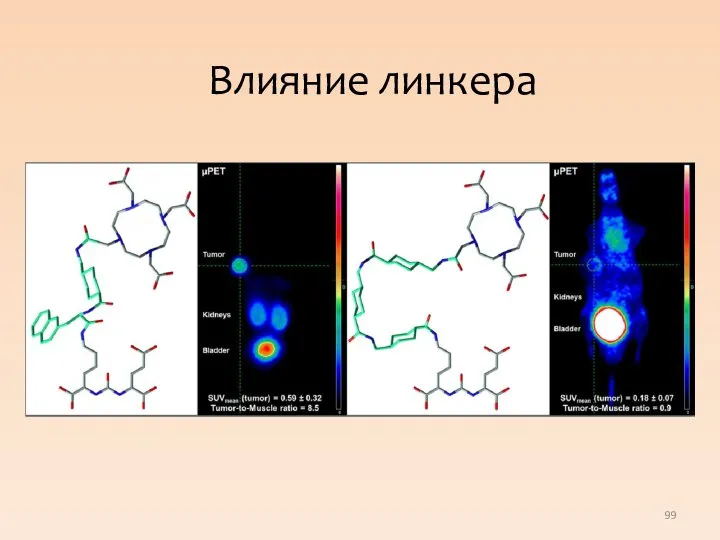 Влияние линкера