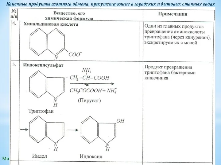 Микробиологические методы очистки воды Конечные продукты азотного обмена, присутствующие в городских и бытовых сточных водах