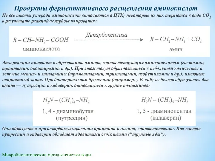 Микробиологические методы очистки воды Продукты ферментативного расщепления аминокислот Не все атомы