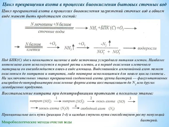 Микробиологические методы очистки воды Цикл превращения азота в процессах биоокисления бытовых