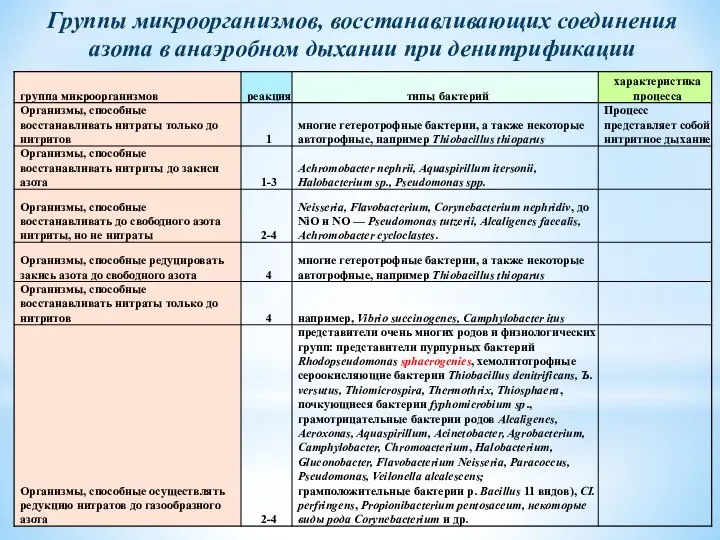 Группы микроорганизмов, восстанавливающих соединения азота в анаэробном дыхании при денитрификации